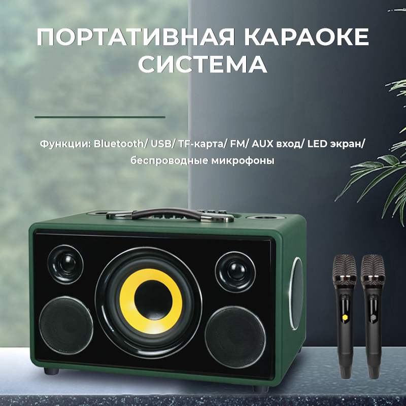 NOIR-audio MAX-300 GREEN акустическая система с двумя беспроводными микрофонами